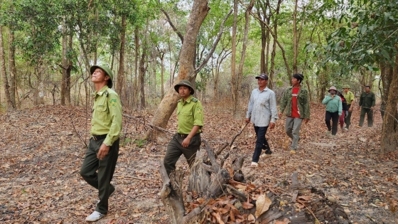 Những bước chân quen trong mùa rừng khô lá