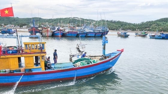 Bản tin Thủy sản ngày 11/4/2024: 2 việc phải làm trước lần kiểm tra của EC