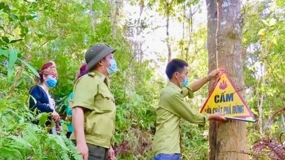 Thời tiết nông vụ ngày 15/4/2024: Nắng nóng tăng tại Tây Bắc, đề phòng cháy rừng