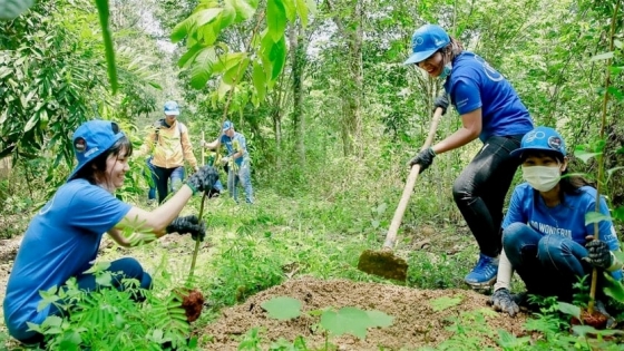 Bản tin Lâm nghiệp ngày 26/4/2024: Vốn xã hội hóa bảo vệ rừng chiếm hơn 40%