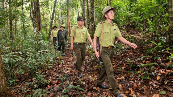 Bản tin Lâm nghiệp ngày 22/5/2024: Kiểm lâm Việt Nam có vị thế quan trọng