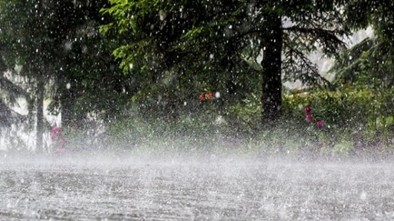 Thời tiết nông vụ ngày 23/5/2024: Miền Trung mưa lớn, đề phòng sạt lở