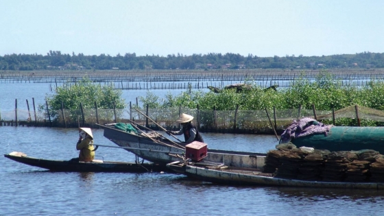 Bản tin Thủy sản ngày 27/5/2024: Phòng, chống trộm cắp thủy sản trên đầm phá