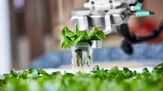 Nông nghiệp hiện đại sẽ tiến xa khi tận dụng nền tảng công nghệ
