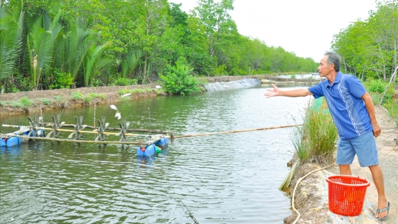 Bản tin Thủy sản ngày 23/7/2024: Đa dạng đối tượng nuôi khi giá tôm giảm thấp