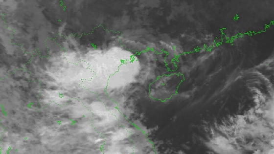 Thời tiết nông vụ: Bão số 2 vào Quảng Ninh, nguy cơ thiệt hại hoa màu