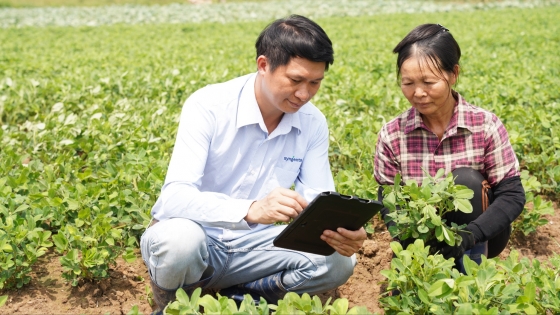 Đào tạo nhân lực chất lượng cao để tạo chuỗi giá trị nông sản bền vững