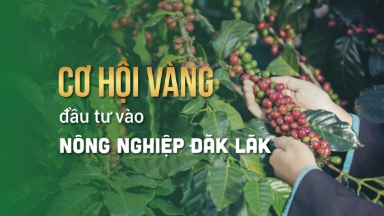 Cơ hội vàng đầu tư vào nông nghiệp Đắk Lắk