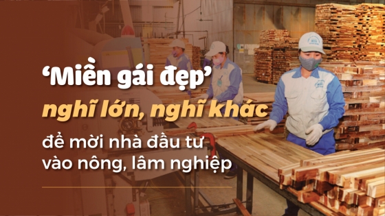 'Miền gái đẹp’ nghĩ lớn, nghĩ khác để mời nhà đầu tư vào nông, lâm nghiệp