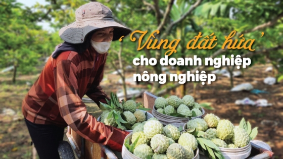 Vùng đất hứa cho doanh nghiệp nông nghiệp