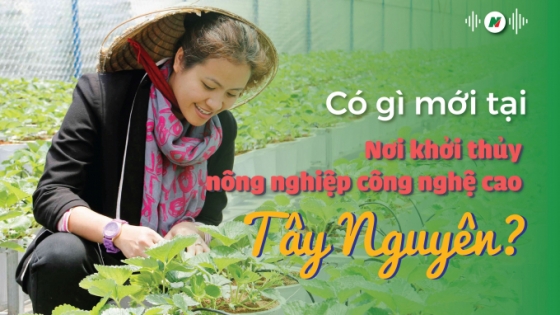 Có gì mới tại nơi khởi thủy nông nghiệp công nghệ cao Tây Nguyên?