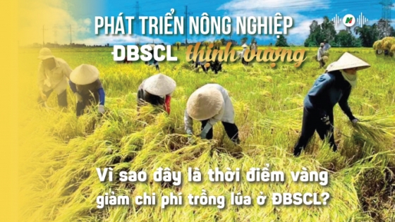 Dần thay đổi cách trồng lúa theo hướng mới