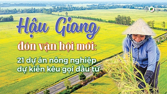 Nông nghiệp Hậu Giang đón vận hội mới