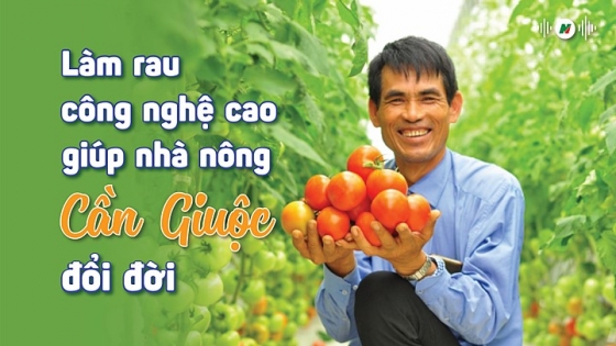 Làm rau công nghệ cao giúp nhà nông Cần Giuộc đổi đời