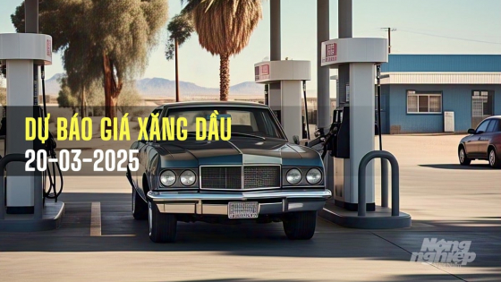 Giá xăng dầu hôm nay 20/3/2025 dự báo tăng hay giảm?