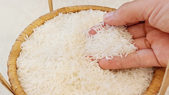 Giá lúa gạo hôm nay 7/4/2025: Thị trường nội địa đi ngang