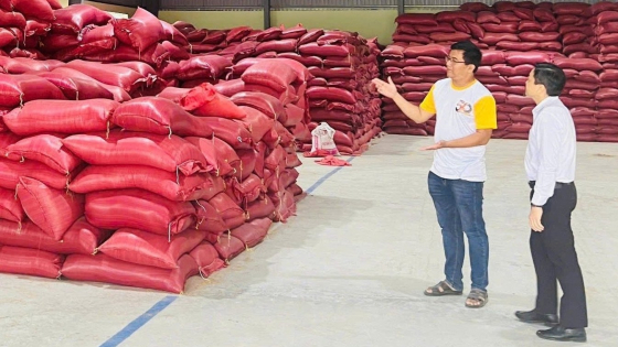 Ngân hàng tung vốn 'tiếp sức' ngành hàng lúa gạo