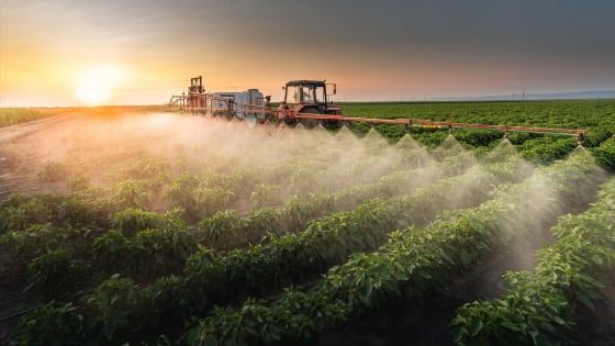 The glyphosate debate