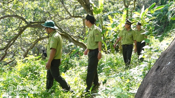 Giữ màu xanh cho rừng phòng hộ Xuân Lộc