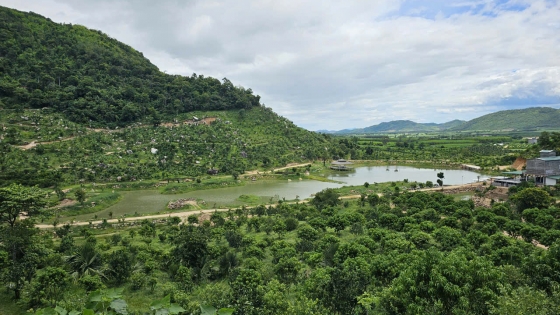 Trang trại nông nghiệp tuần hoàn khép kín bên sườn đồi đẹp như tranh