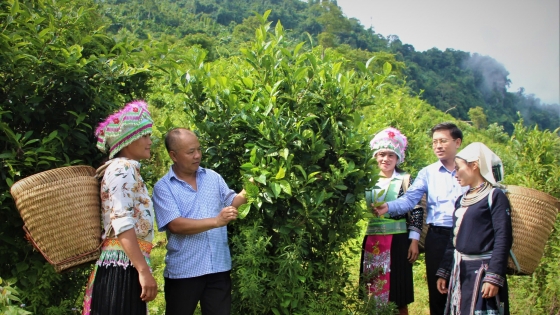 Cây chủ lực đồng hành cùng nông nghiệp tốt