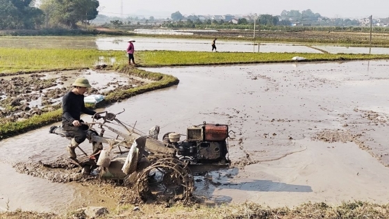 Thời tiết nông vụ ngày 02/01/2025: Nắng ấm trở lại với miền Trung