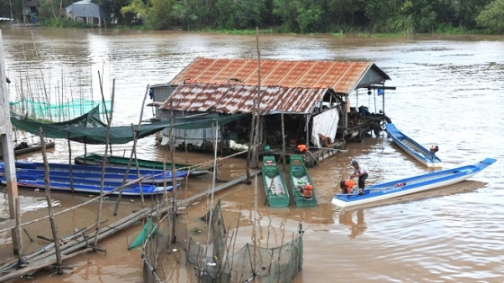 Thời tiết nông vụ ngày 28/02/2025: Đợt triều cường mới tại Đông Nam Bộ