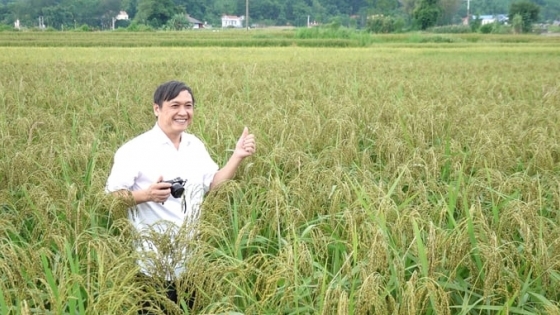 Building new rural areas associated with organic agriculture