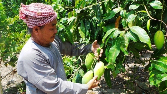 Bộ trưởng Lê Minh Hoan: Ghi nhanh ở một góc miệt vườn