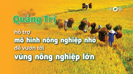 Quảng Trị chăm chút doanh nghiệp nhỏ, siêu nhỏ để có nền nông nghiệp lớn