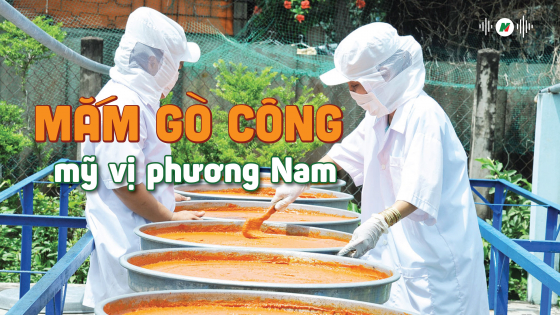 Mắm Gò Công - mỹ vị phương Nam