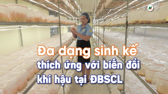 Đa dạng sinh kế thích ứng với biến đổi khí hậu tại ĐBSCL