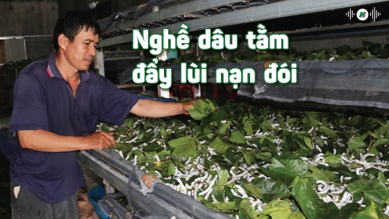 Nghề dâu tằm đẩy lùi nạn đói