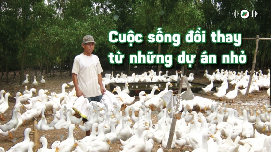 Cuộc sống đổi thay từ những dự án nhỏ