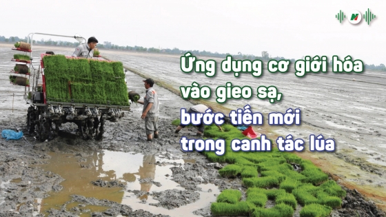 Ứng dụng cơ giới hóa vào gieo sạ, bước tiến mới trong canh tác lúa