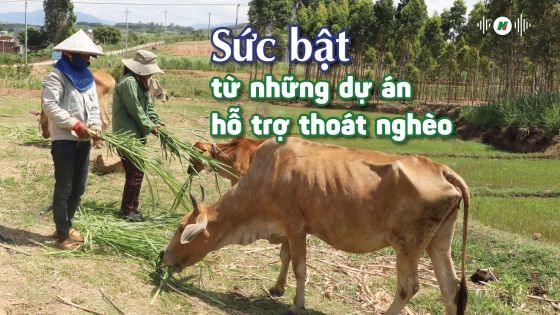 Sức bật từ những dự án hỗ trợ thoát nghèo