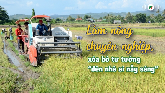 Làm nông chuyên nghiệp, xóa bỏ tư tưởng 'đèn nhà ai nấy sáng'