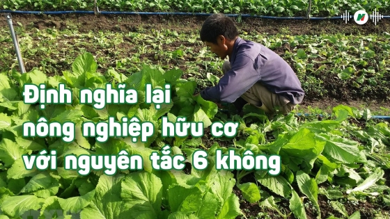 Định nghĩa lại nông nghiệp hữu cơ với nguyên tắc 6 không