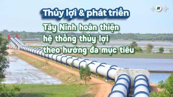 Hoàn thiện hệ thống thủy lợi theo hướng đa mục tiêu