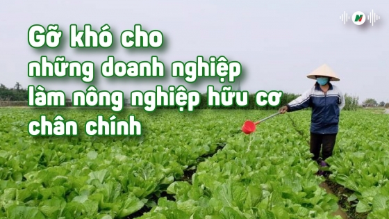 Gỡ khó cho doanh nghiệp làm nông nghiệp hữu cơ chân chính