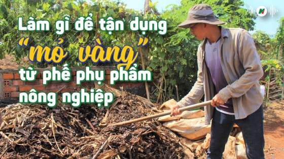 Tận dụng ‘mỏ vàng’ từ phế phụ phẩm nông nghiệp