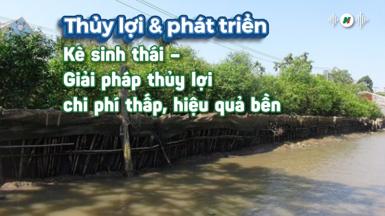 Kè sinh thái – Giải pháp thủy lợi chi phí thấp, hiệu quả bền