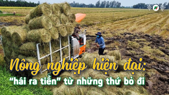 Nông nghiệp hiện đại: 'Hái ra tiền' từ những thứ bỏ đi