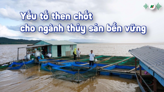 Yếu tố then chốt cho ngành thủy sản bền vững