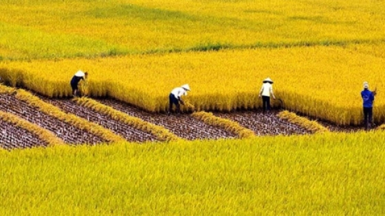 Khi mỗi người làm việc nên làm...