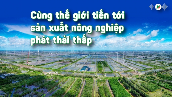 Cùng thế giới tiến tới sản xuất nông nghiệp phát thải thấp