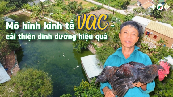 Mô hình kinh tế VAC – Cải thiện dinh dưỡng hiệu quả