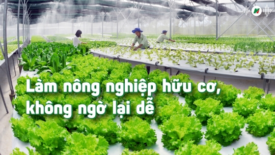 Làm nông nghiệp hữu cơ, không ngờ lại dễ