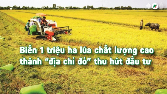 Biến một triệu ha lúa chất lượng cao thành 'địa chỉ đỏ' thu hút đầu tư