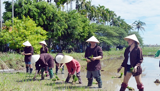 Du lịch nông nghiệp, nông thôn và giải pháp cho phát triển bền vững